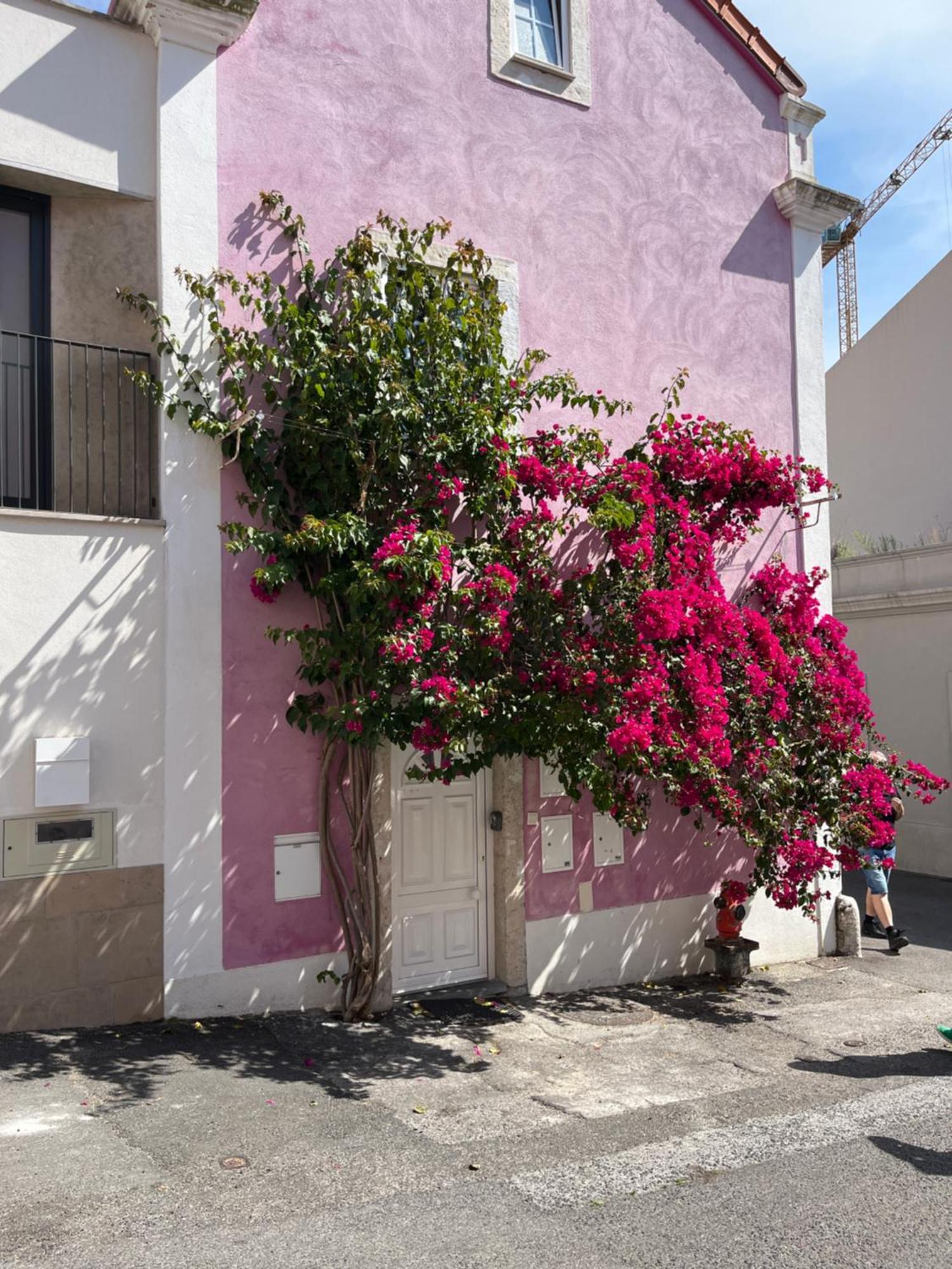 Casa Cor De Rosa Apartment Lisbon Exterior photo